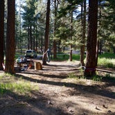 Review photo of Redondo Campground by Tyler G., June 7, 2017