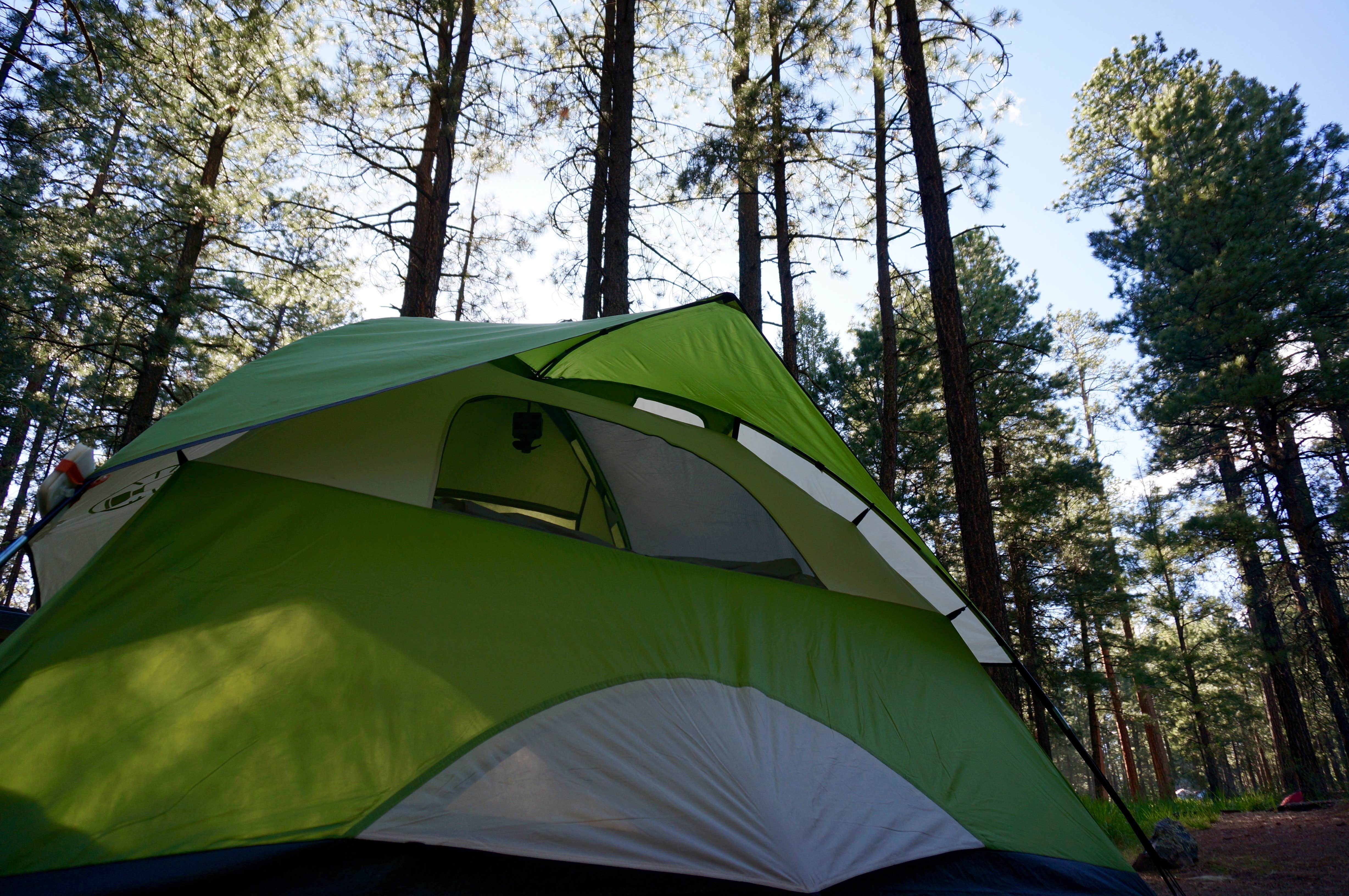 Camper-submitted photo at Redondo Campground near Jemez Springs, NM