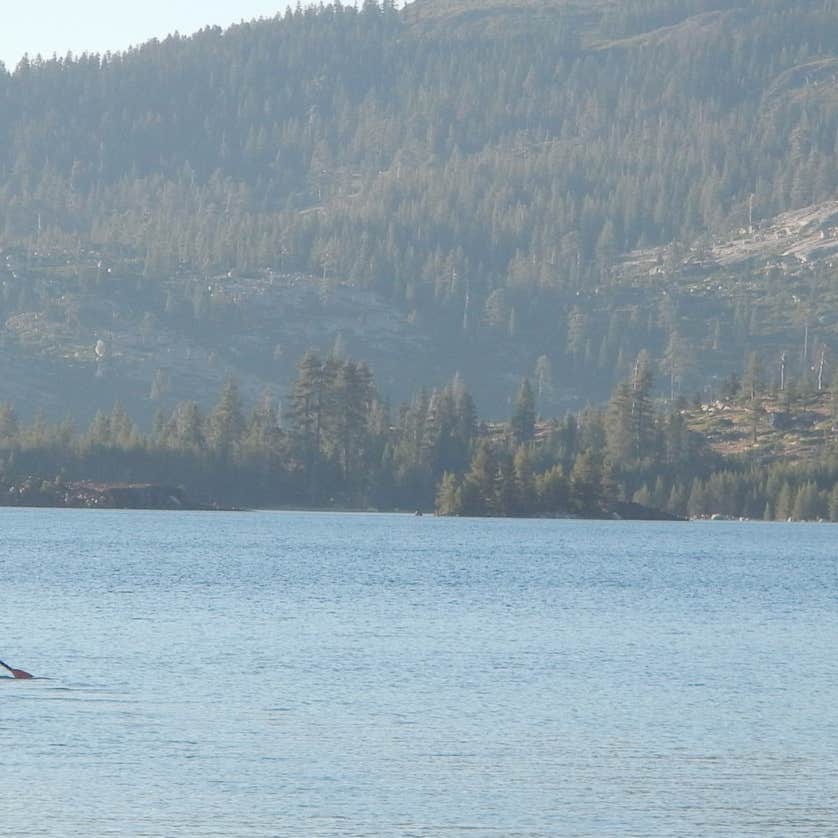 Loon Lake Camping The Dyrt