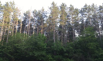 Pinewoods Campground