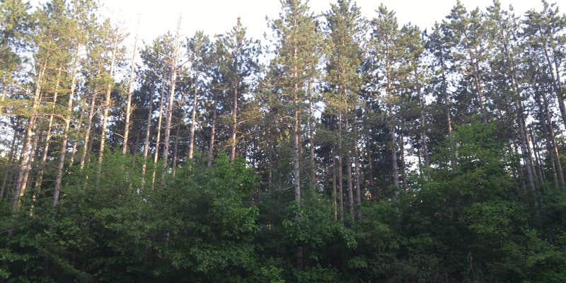 Camper submitted image from Pinewoods Campground — Kettle Moraine State Forest-Southern Unit