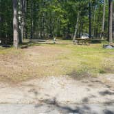 Review photo of Traverse City State Park Campground by Nancy W., June 8, 2017