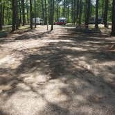 Review photo of Traverse City State Park Campground by Nancy W., June 8, 2017