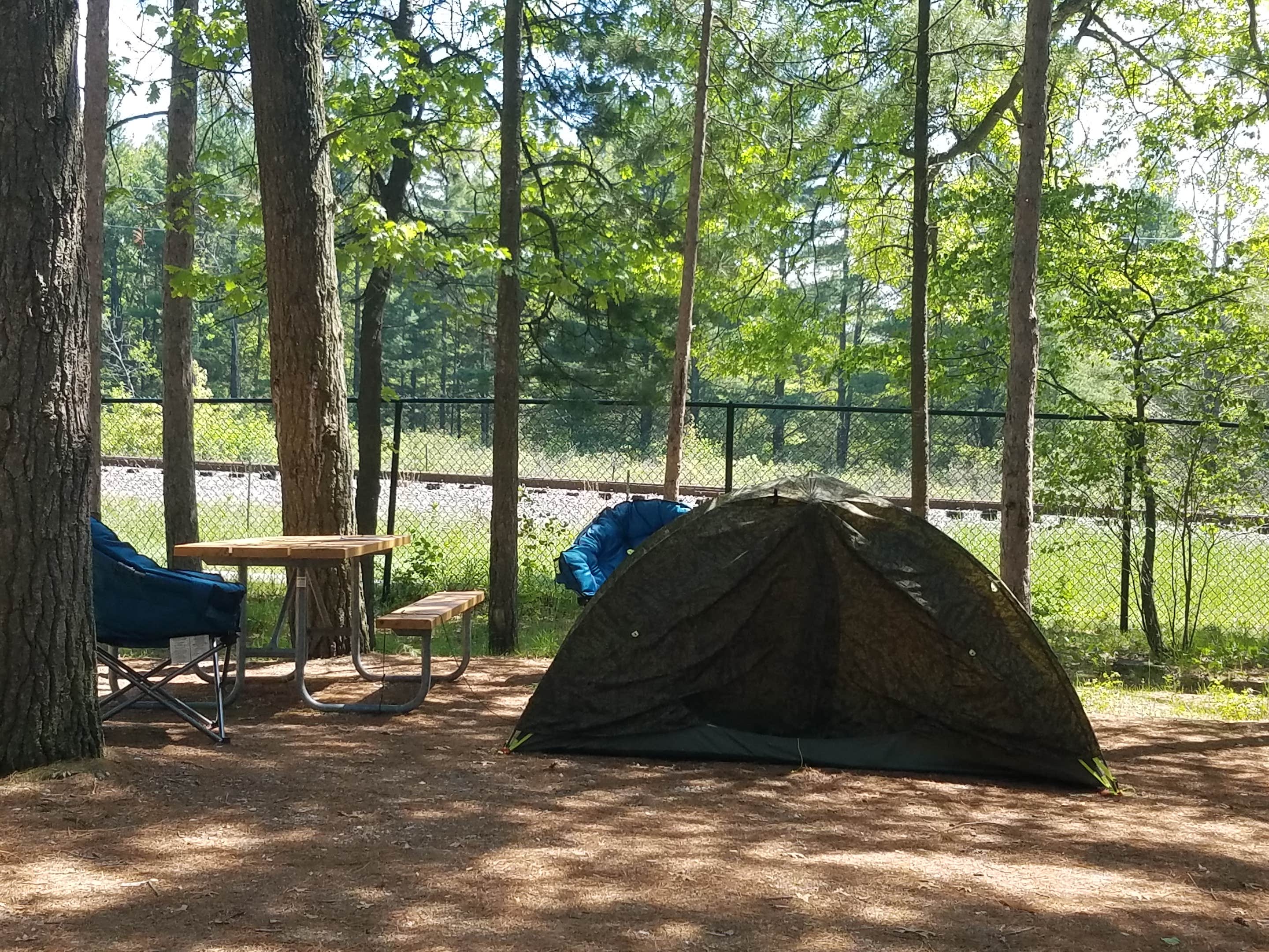 Nancy W.'s photo at Traverse City State Park Campground near Lake Leelanau, MI