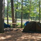 Review photo of Traverse City State Park Campground by Nancy W., June 8, 2017