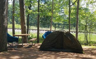 Nancy W.'s photo at Traverse City State Park Campground near Williamsburg, MI