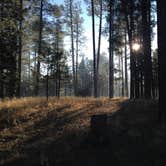 Review photo of Jemez Falls Campground by Kelly Z., January 20, 2015