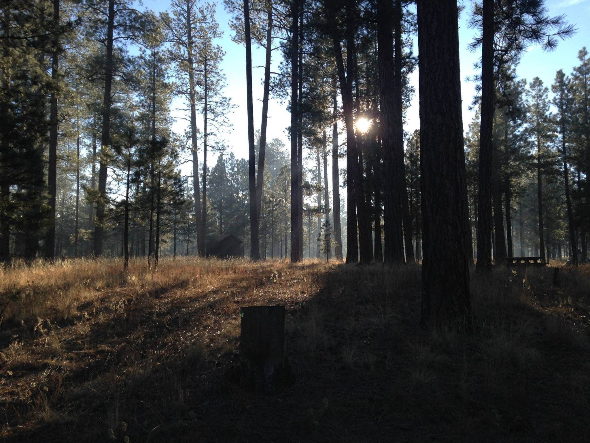 Camper submitted image from Jemez Falls Campground - 2