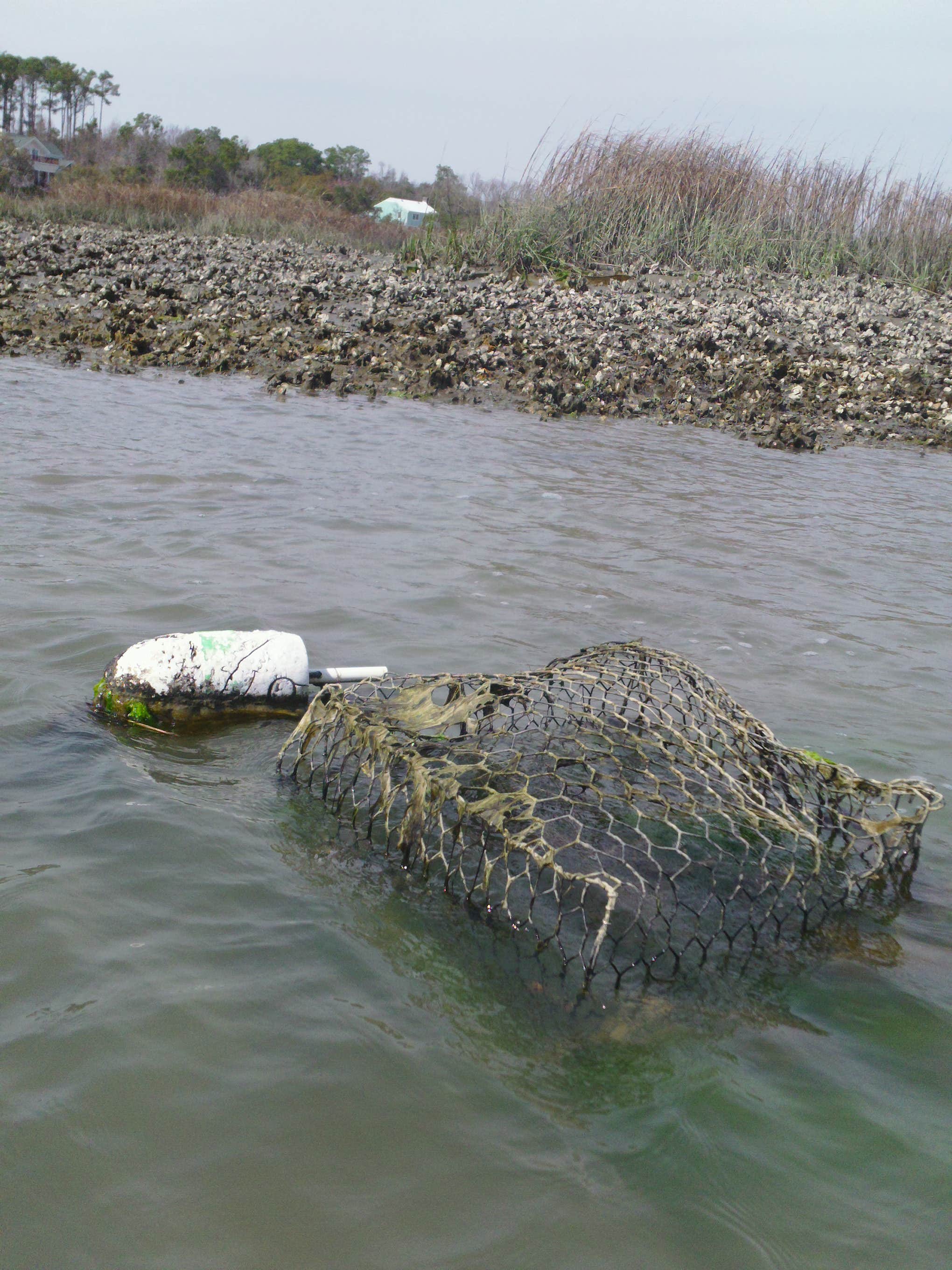 Camper-submitted photo at Huntington Beach State Park Campground in South Carolina
