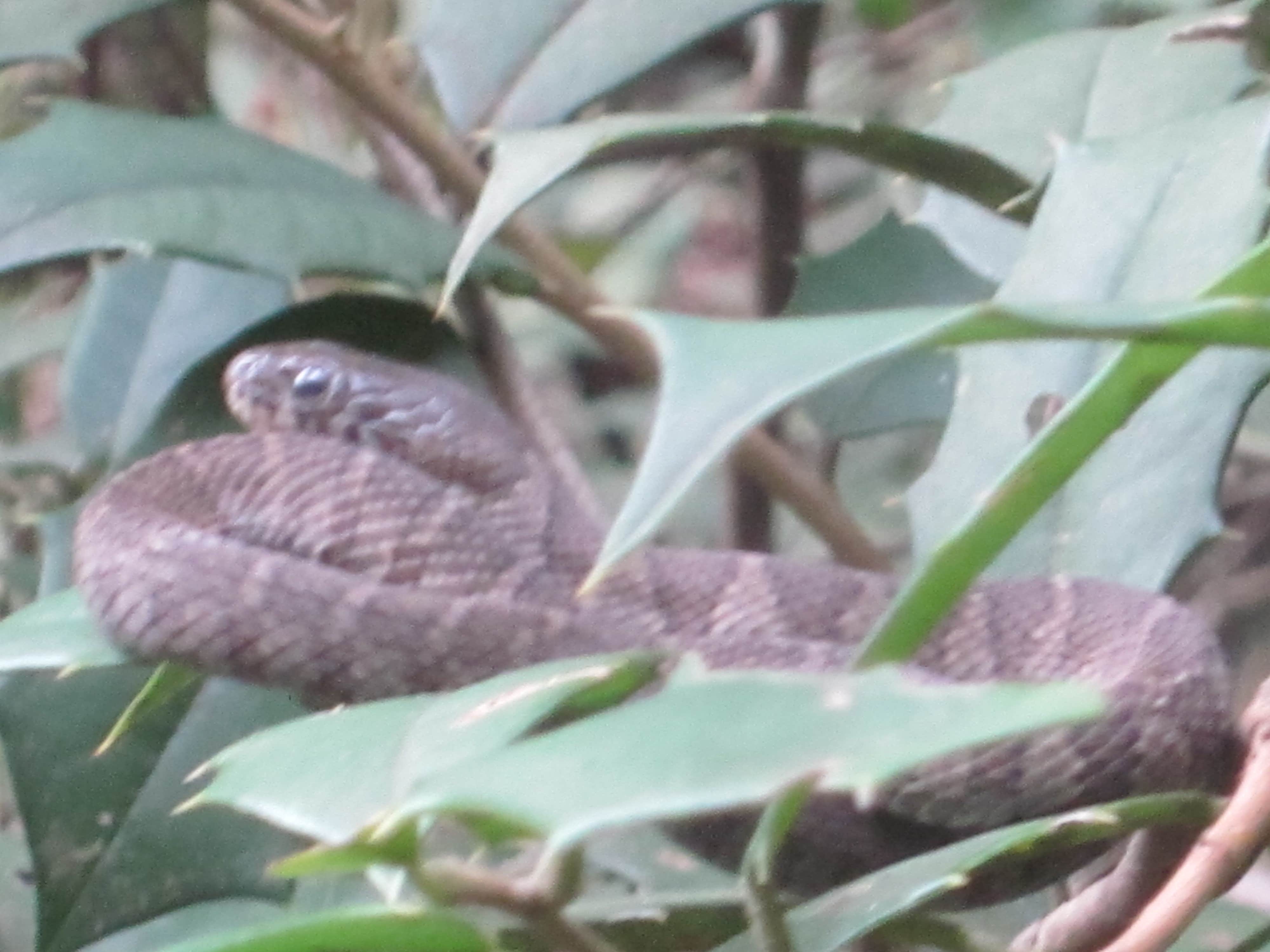 Camper-submitted photo at Table Rock State Park Campground in South Carolina