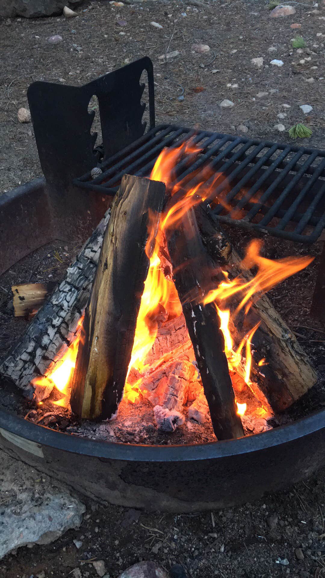 Sheryl S.'s photo at Father Dyer near Leadville, CO