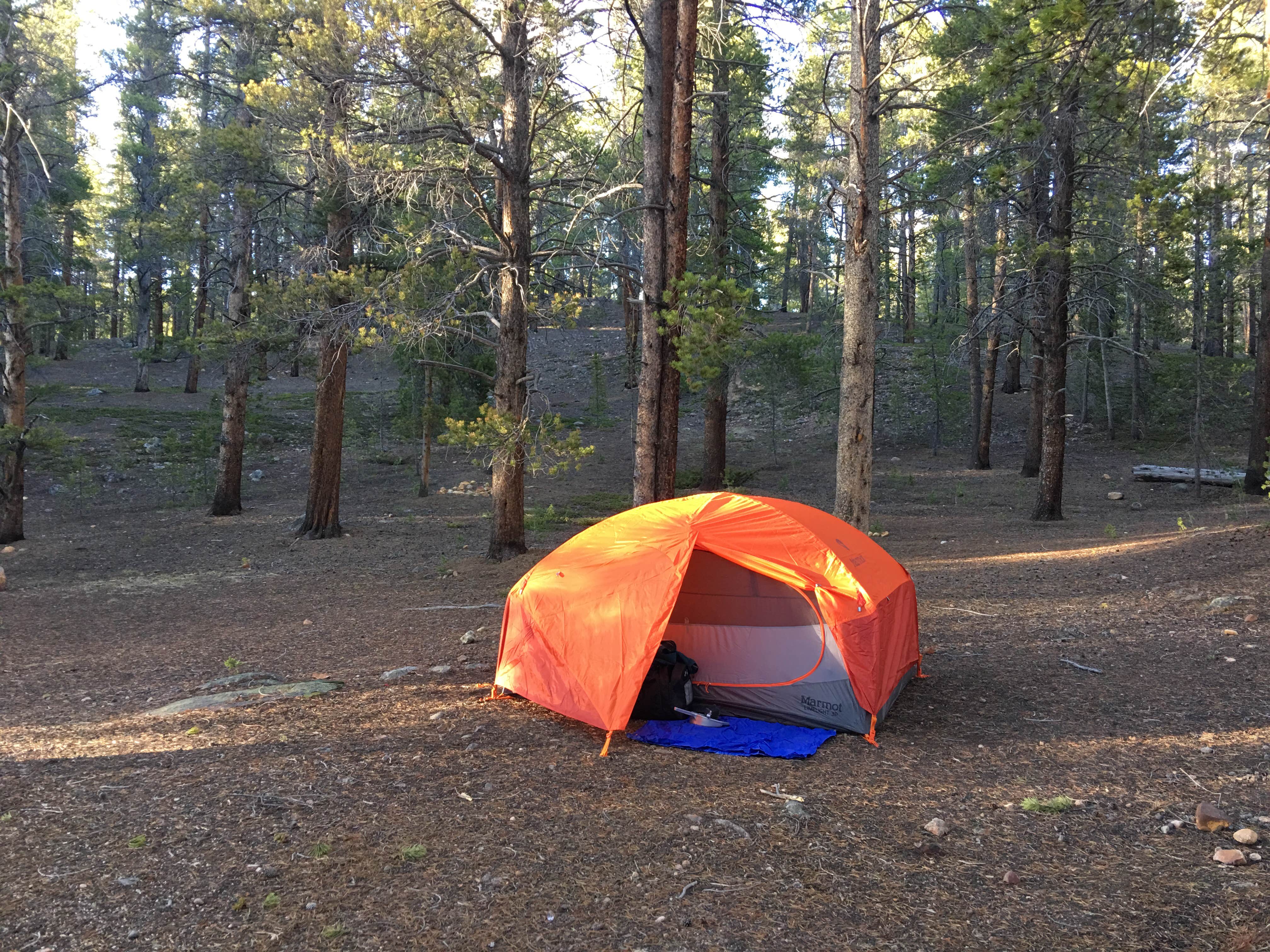 Sheryl S.'s photo at Father Dyer near Leadville, CO