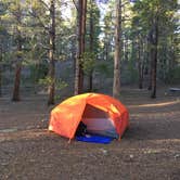 Review photo of Father Dyer by Sheryl S., June 8, 2017