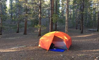 Sheryl S.'s photo at Father Dyer near Leadville, CO