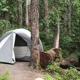 Review photo of Lost Lake Resort And Campground — Mt. Hood National Forest by Katie B., June 8, 2017