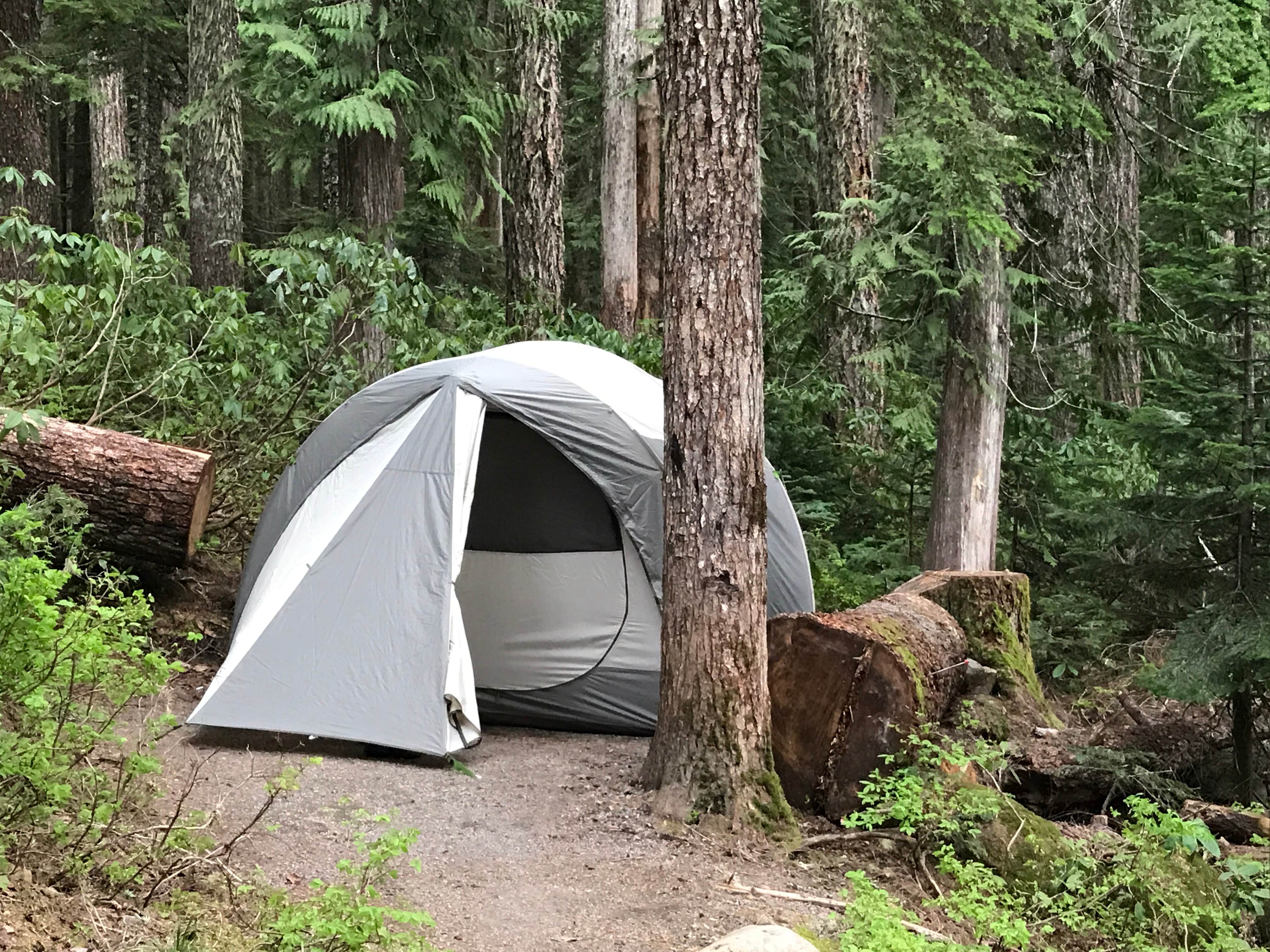 Camper submitted image from Lost Lake Resort And Campground — Mt. Hood National Forest - 4