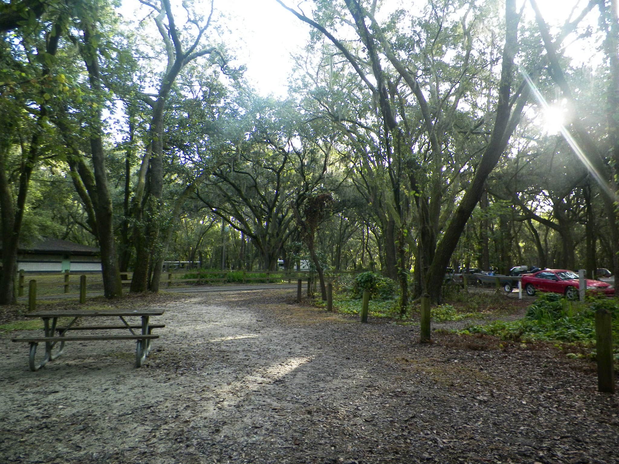 Camper-submitted photo at Edward Medard Park near Plant City, FL
