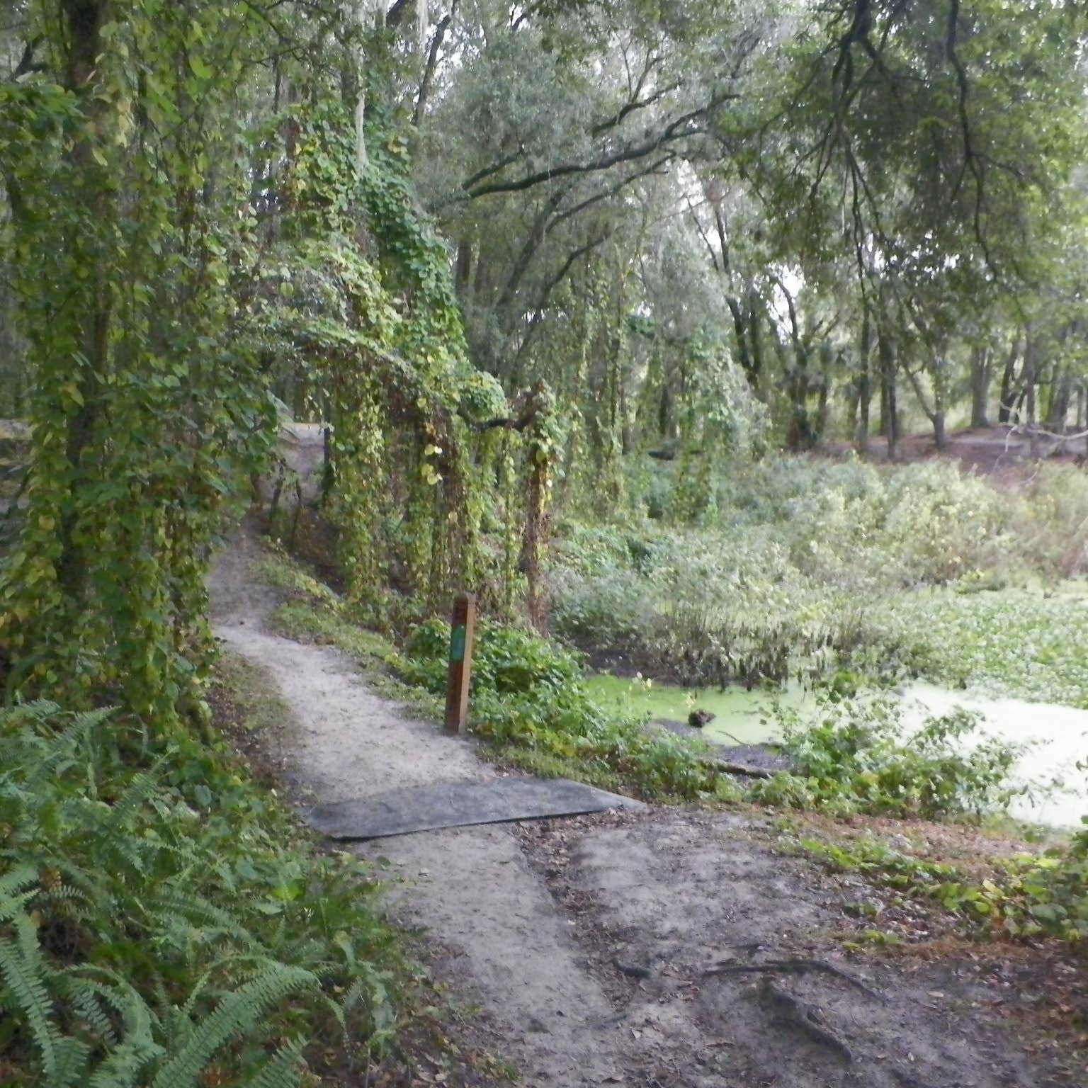 Edward Medard Park Camping The Dyrt