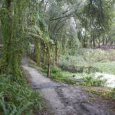 Review photo of Edward Medard Park by Jeanene A., June 8, 2017