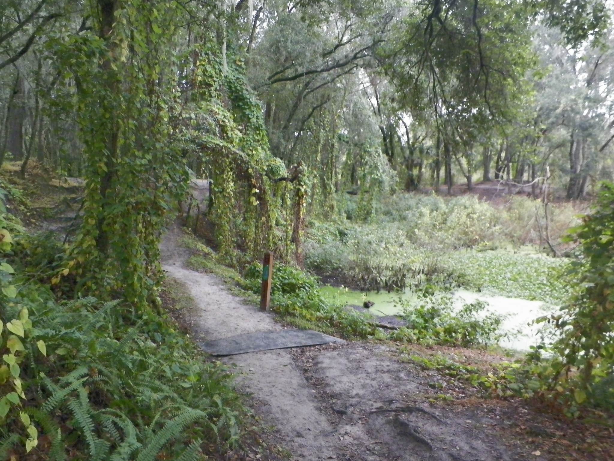 Camper submitted image from Edward Medard Park - 3