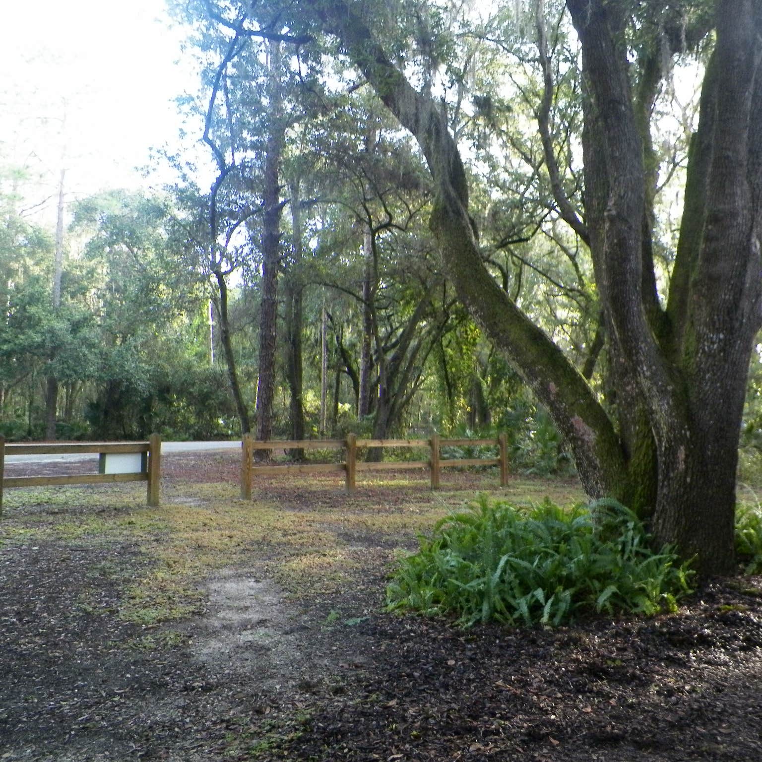 Edward Medard Park Camping The Dyrt