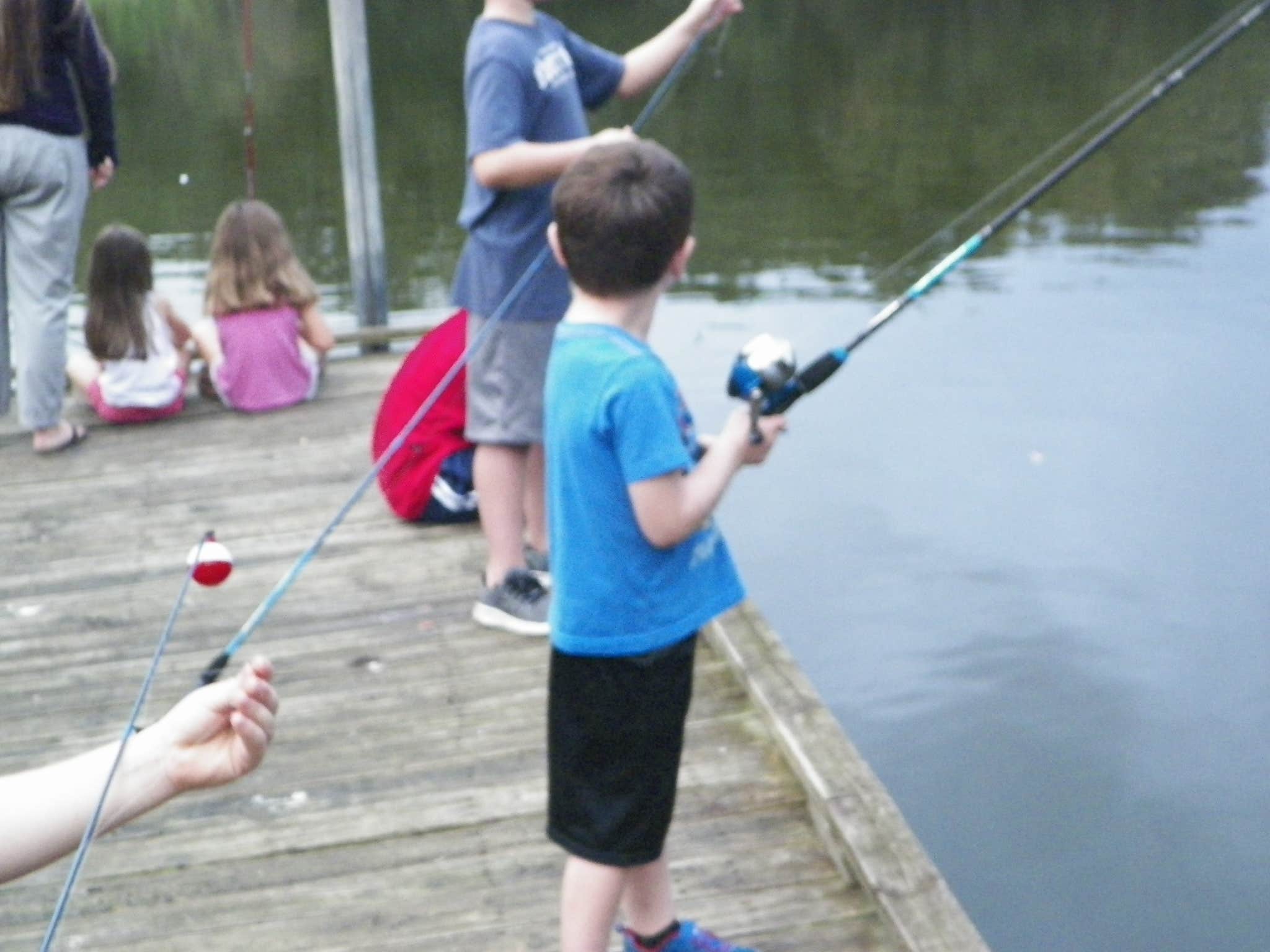 Camper submitted image from Edward Medard Park - 5