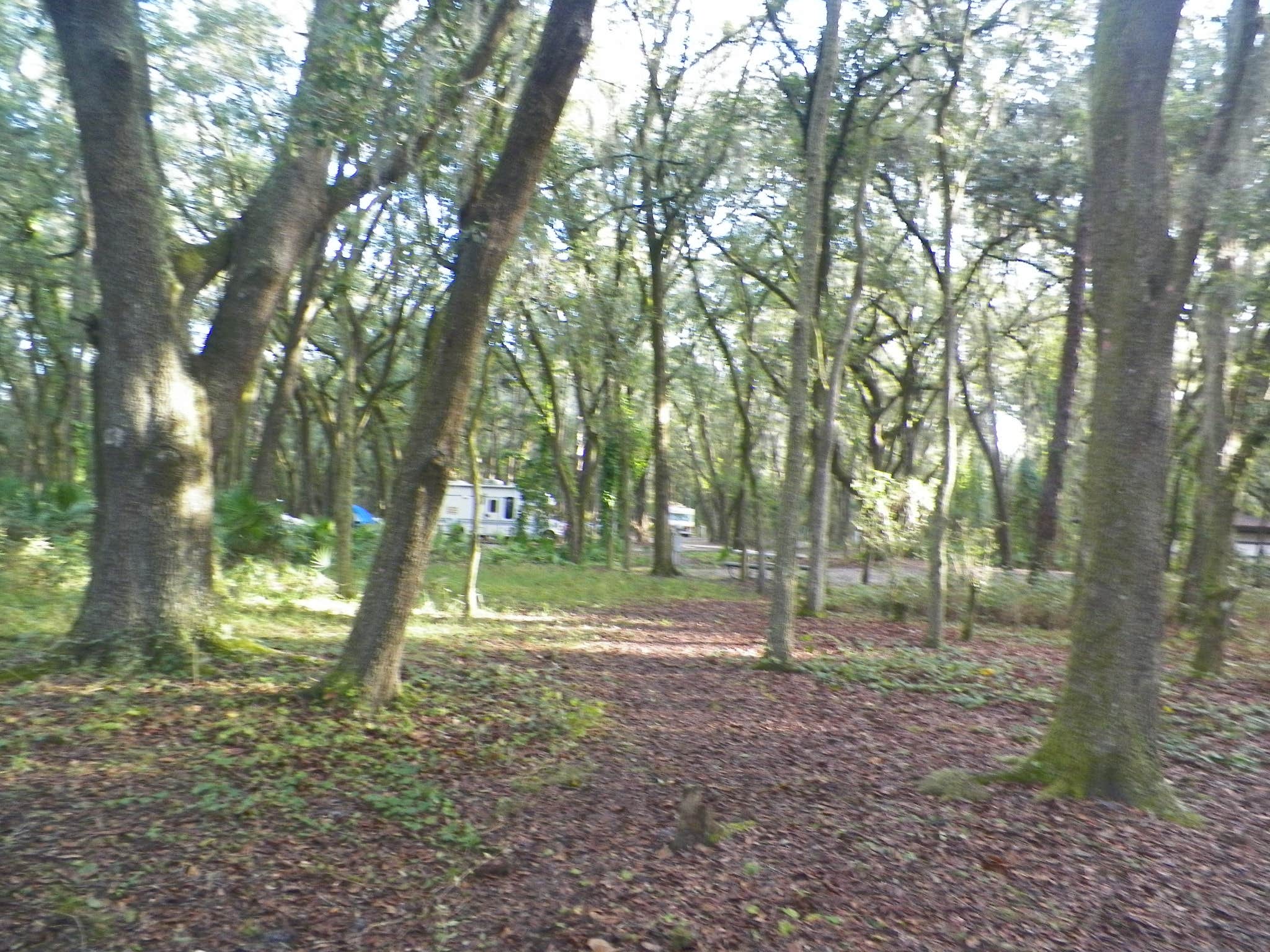 Camper submitted image from Edward Medard Park - 1