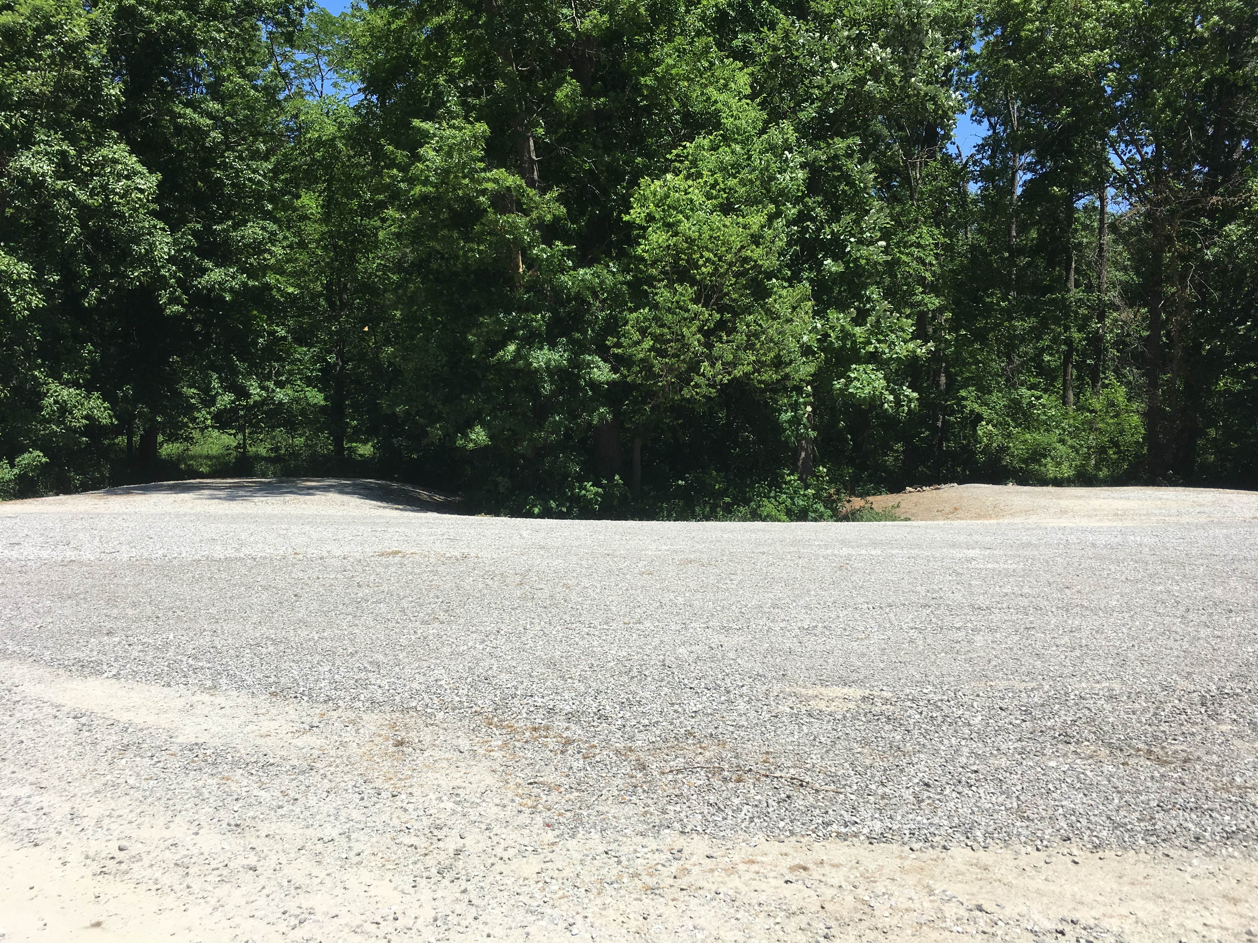 Camper submitted image from Rebel's Cove Conservation Area - 3