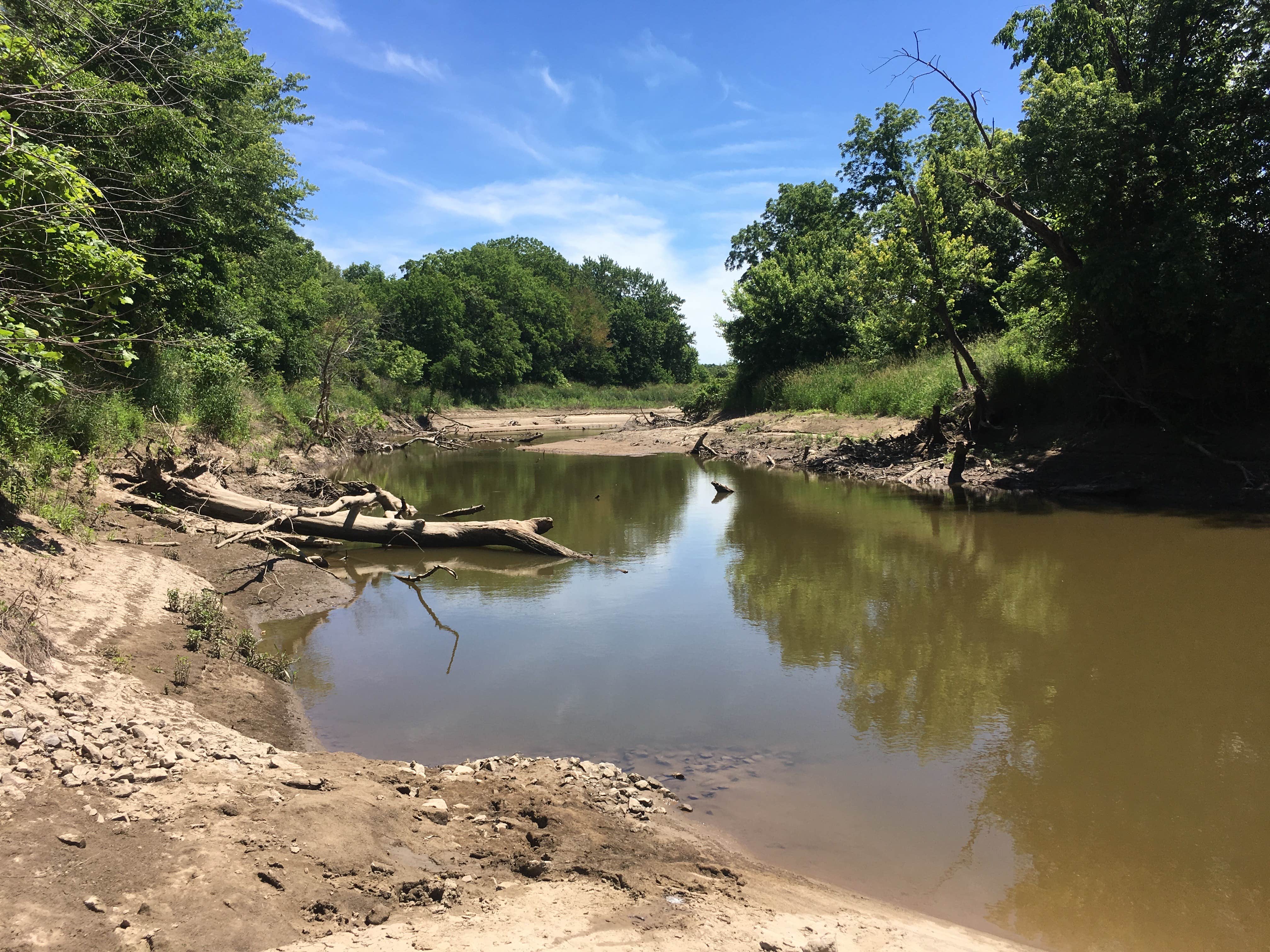 Camper submitted image from Rebel's Cove Conservation Area - 4
