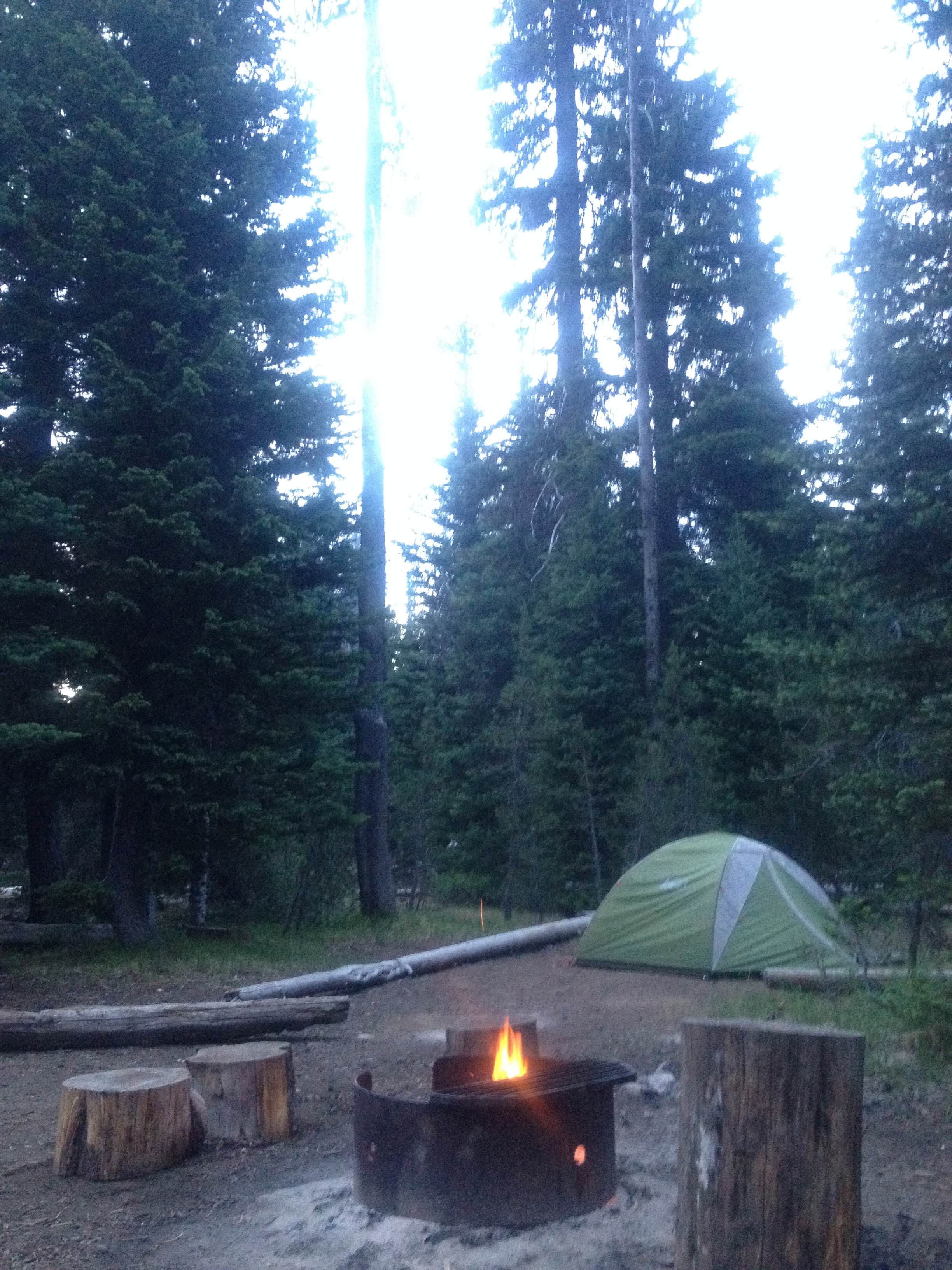 Ally S.'s photo at Mazama Village Campground — Crater Lake National Park near Crater Lake National Park