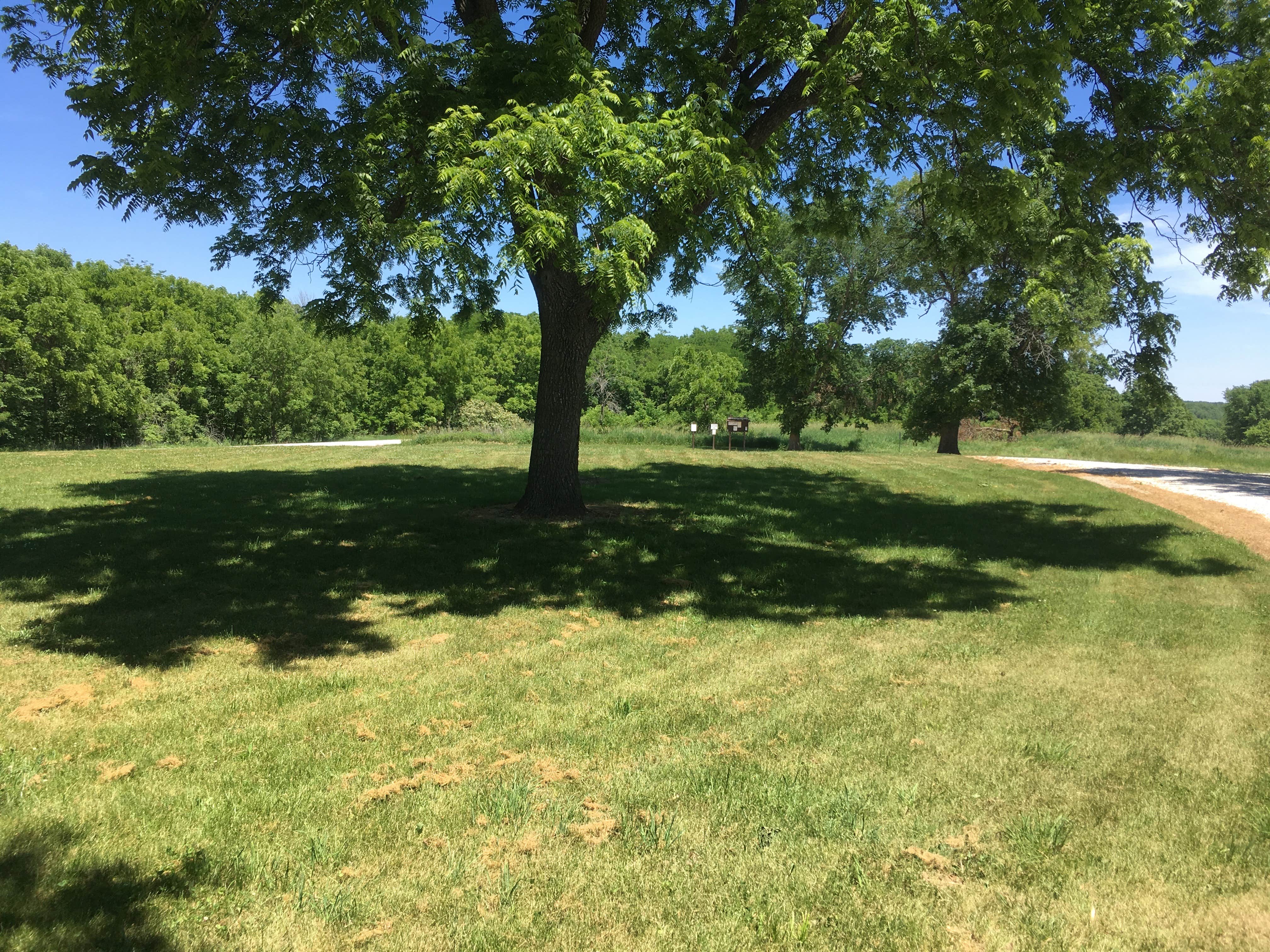 Camping near Honey Creek Resort: Rebel's Cove Conservation Area, Centerville, Missouri