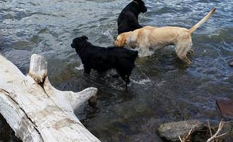 Stephanie L.'s photo of camping with pets at Indian Creek Campground — Lake Owyhee State Park near Adrian, OR