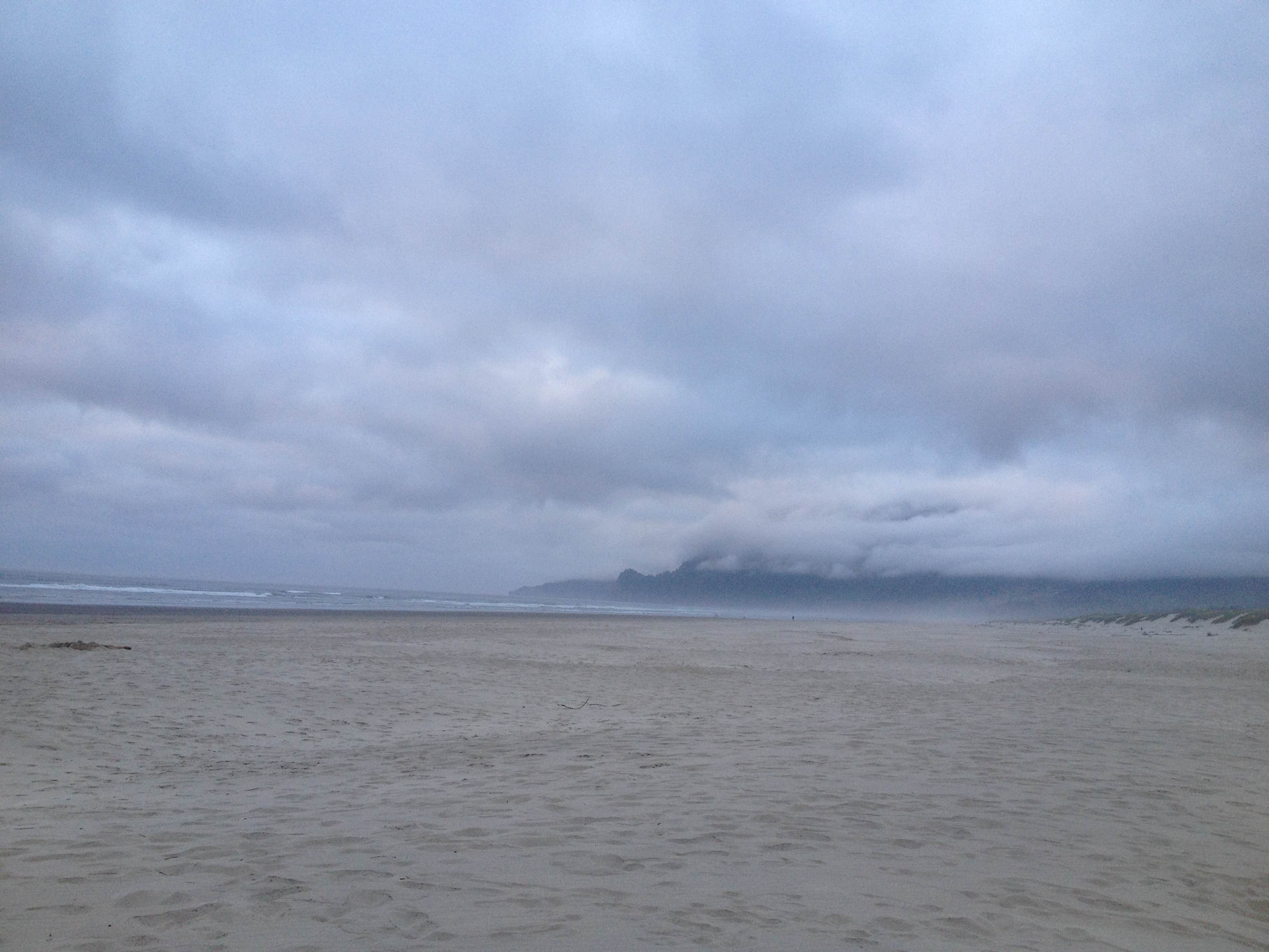 Camper submitted image from Nehalem Bay State Park Campground - 4