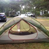Review photo of Nehalem Bay State Park Campground by Ally S., June 20, 2016