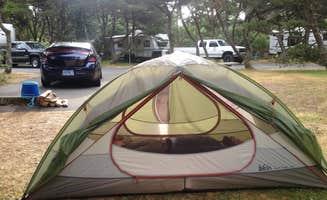 Ally S.'s photo at Nehalem Bay State Park Campground near Tillamook State Forest