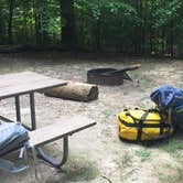 Review photo of Merchants Millpond State Park Campground by Becky E., June 9, 2017