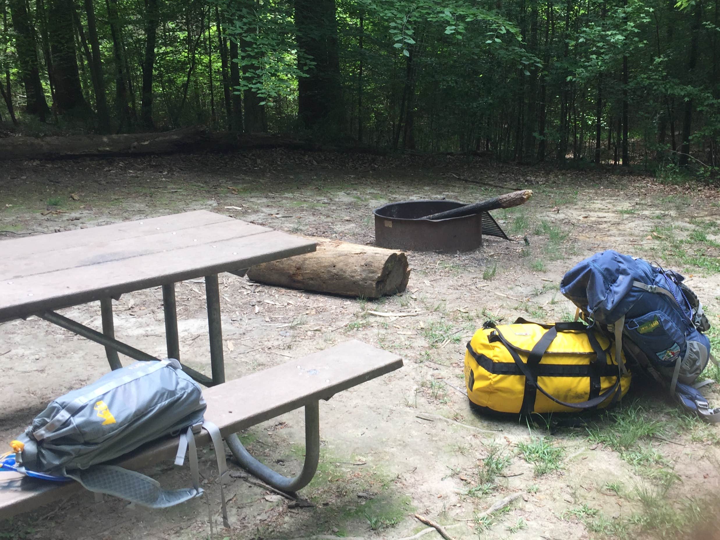Camper submitted image from Merchants Millpond State Park Campground - 4