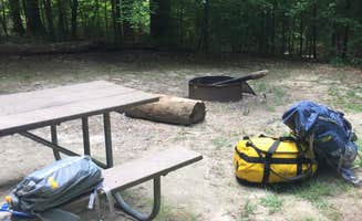 Becky E.'s photo at Merchants Millpond Canoe-In Campground — Merchants Millpond State Park near Gatesville, NC
