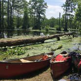 Review photo of Merchants Millpond State Park Campground by Becky E., June 9, 2017