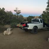 Review photo of Mid Hills Campground — Mojave National Preserve by Amanda D., June 9, 2017