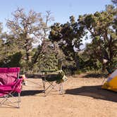 Review photo of Mid Hills Campground — Mojave National Preserve by Amanda D., June 9, 2017