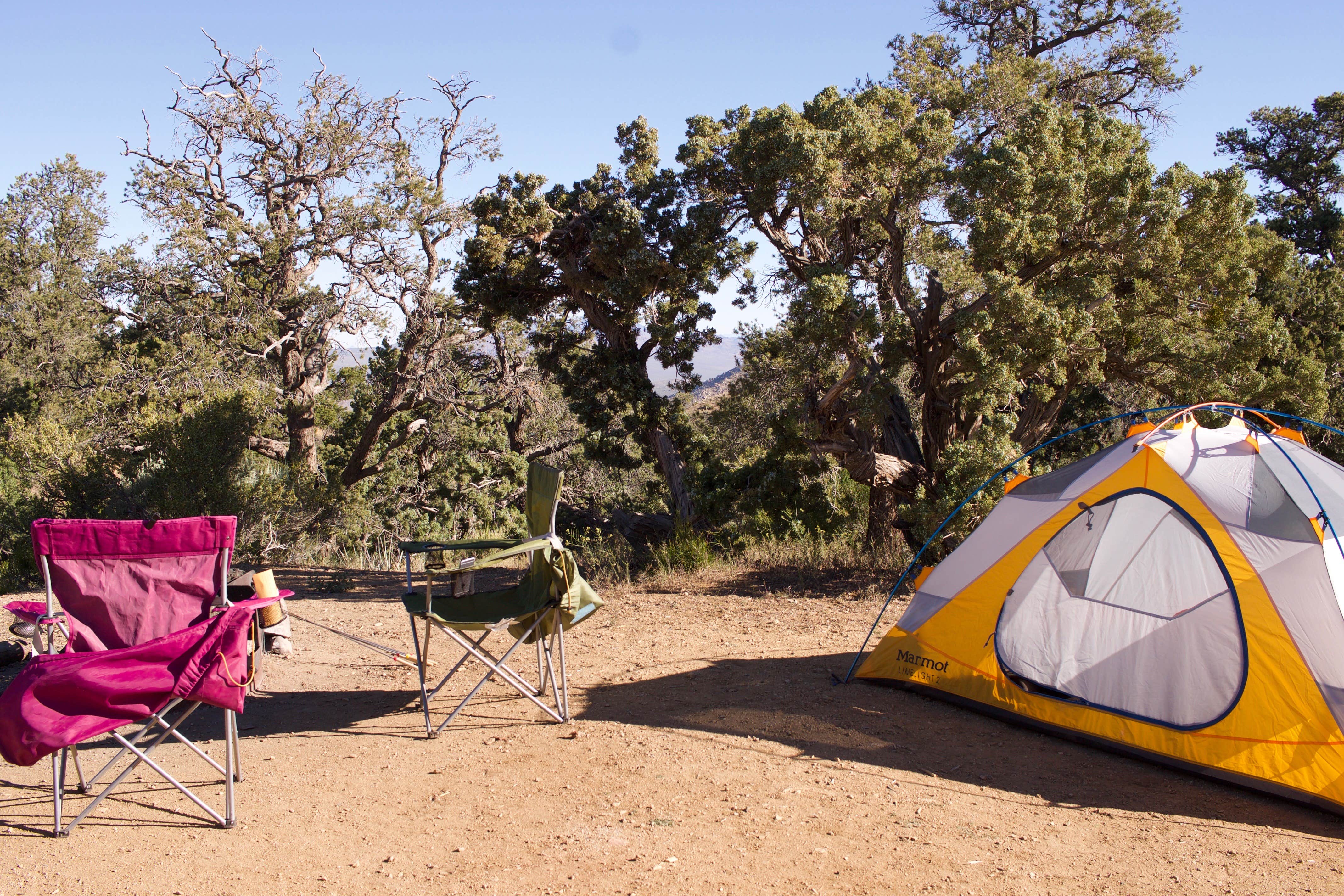 Camper submitted image from Mid Hills Campground — Mojave National Preserve - 5