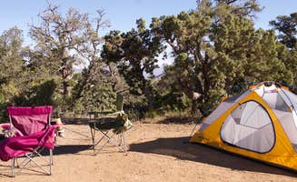 Amanda D.'s photo at Mid Hills Campground — Mojave National Preserve near Nipton, CA