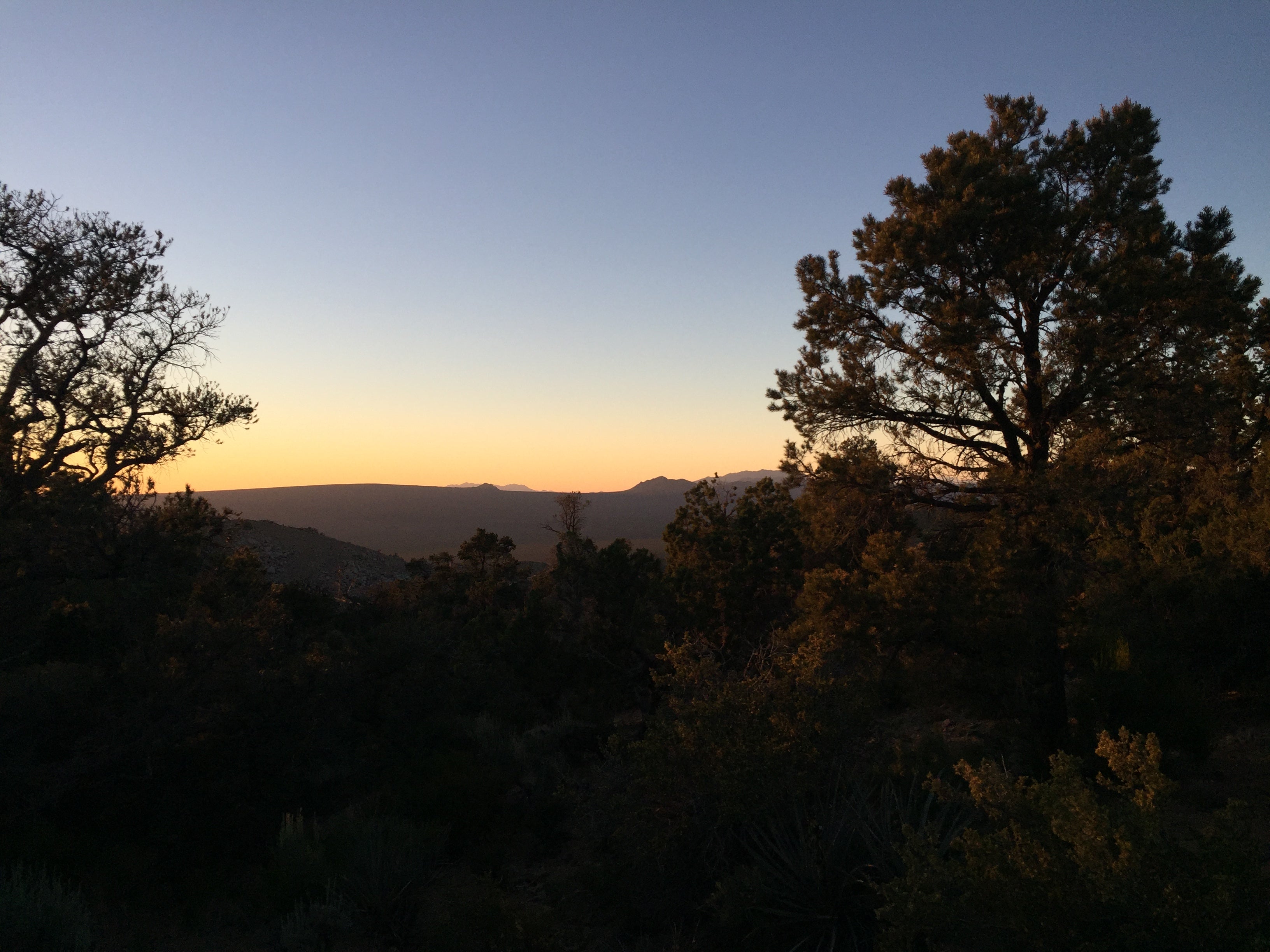 Camper submitted image from Mid Hills Campground — Mojave National Preserve - 2