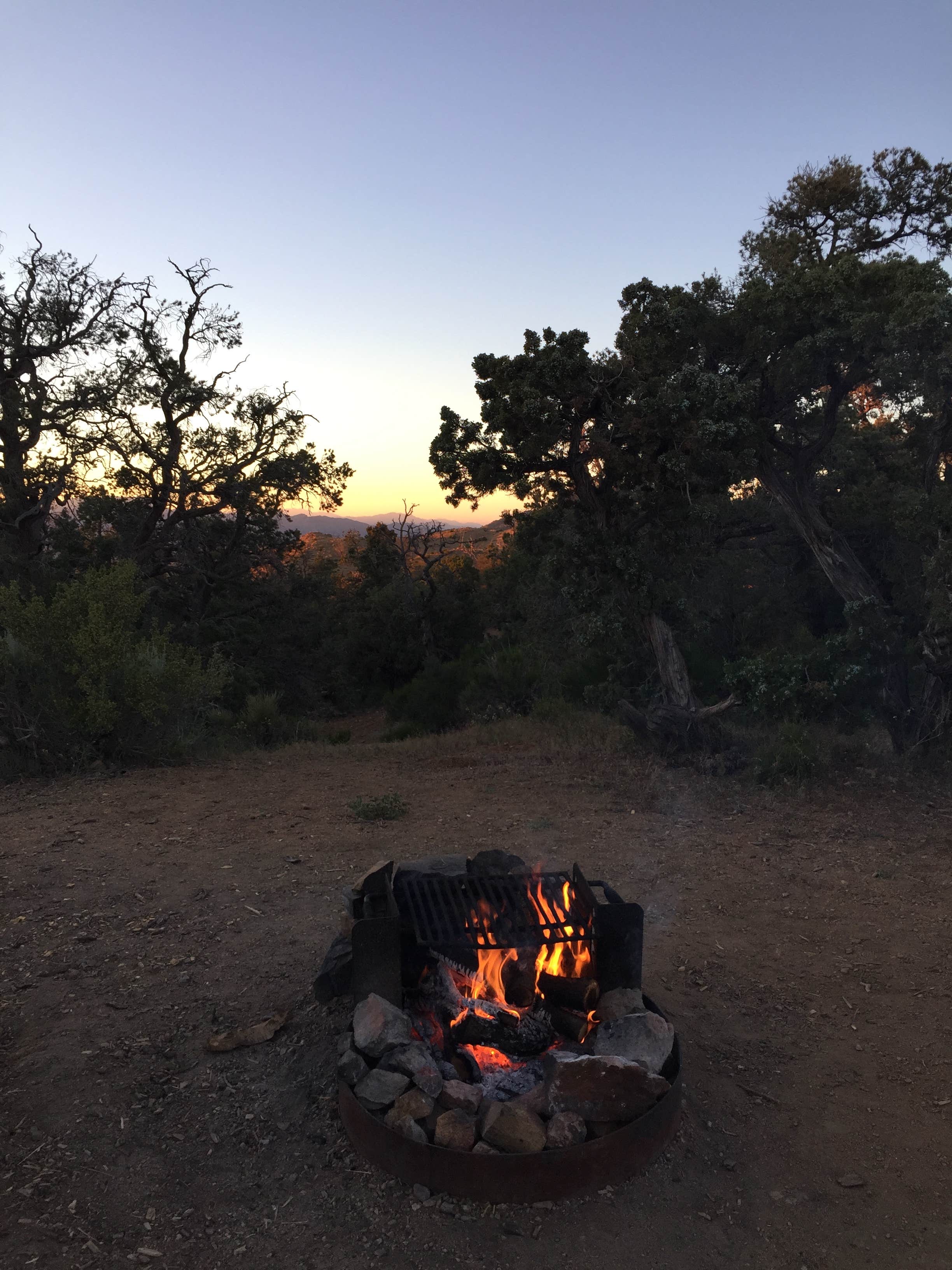 Amanda D.'s photo at Mid Hills Campground — Mojave National Preserve near Nipton, CA