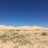 Review photo of Mid Hills Campground — Mojave National Preserve by Amanda D., June 9, 2017