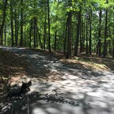 Review photo of Red Top Mountain State Park Campground by Shelly S., June 9, 2017