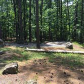 Review photo of Red Top Mountain State Park Campground by Shelly S., June 9, 2017