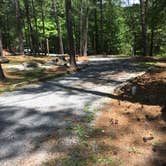Review photo of Red Top Mountain State Park Campground by Shelly S., June 9, 2017