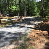 Review photo of Georgia Department of Natural Resources - Red Top Mountain by Shelly S., June 9, 2017